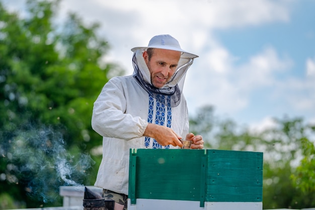 Apicultor no apiário no dia de verão. Homem trabalhando no apiário. Apicultura. Conceito de apicultura.