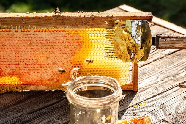 Apicultor de primer plano destapando el panal con horquilla de apicultura especial