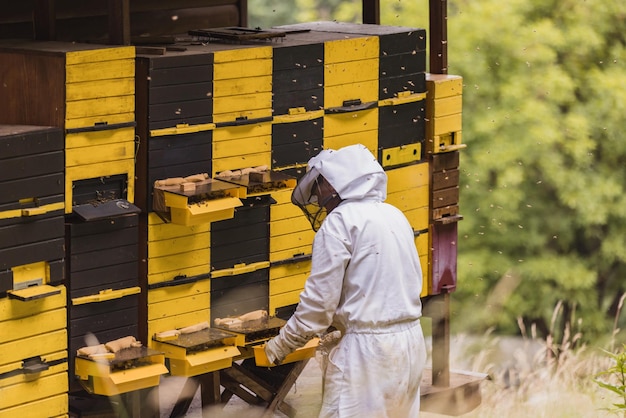 Un apicultor rodeado por un enjambre de abejas revisando la colmena