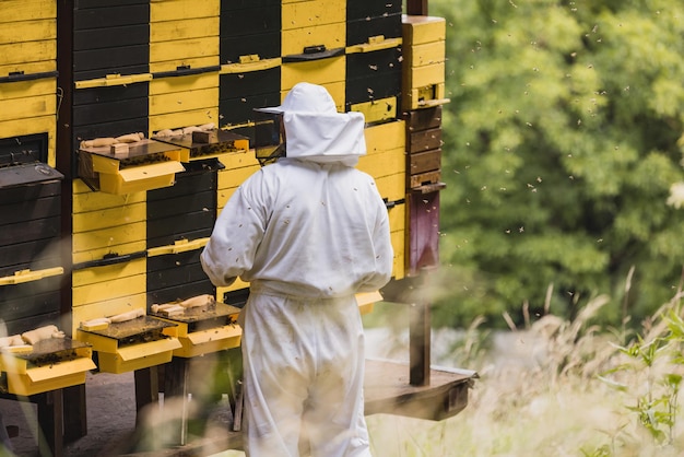 Un apicultor rodeado por un enjambre de abejas revisando la colmena