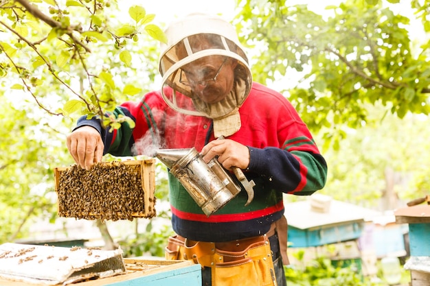 Apicultor segurando um quadro de favo de mel