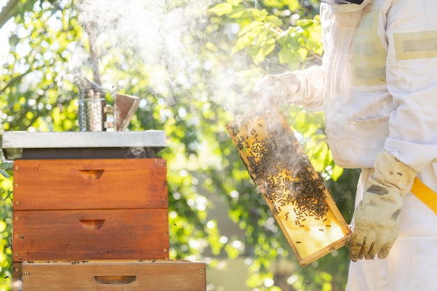 Foto apicultor sosteniendo peine de miel o marco con lleno de abejas en su enorme concepto de apicultura apiario