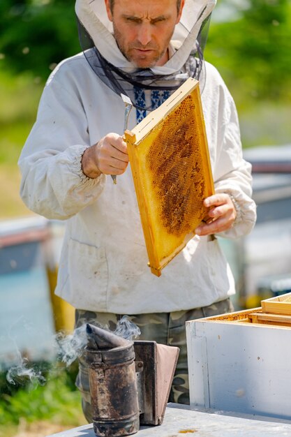 Foto el apicultor está trabajando con abejas y colmenas en el colmenar.