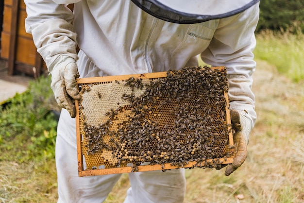 Apicultor trabajando en un apiario mientras un enjambre de abejas vuela a su alrededor