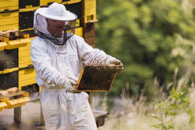 Apicultor trabajando en un apiario mientras un enjambre de abejas vuela a su alrededor