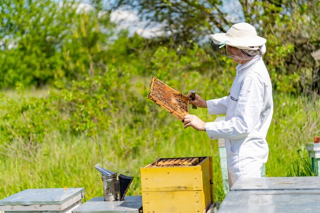 Apicultor en traje de protección trabajando con panal. Colmena amarilla con abejas pululando alrededor.