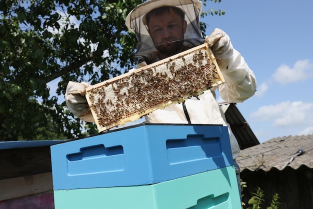 Apicultor en uniforme de pie sosteniendo el marco de la abeja cerca de la colmena