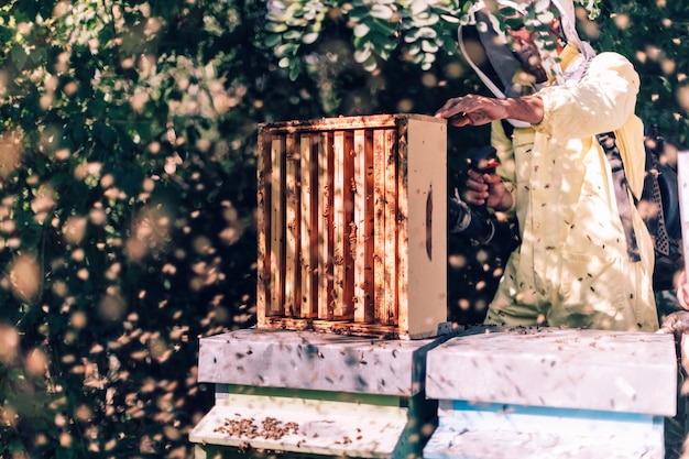 Apicultor usando el soplador para liberar la caja de la colmena de las abejas