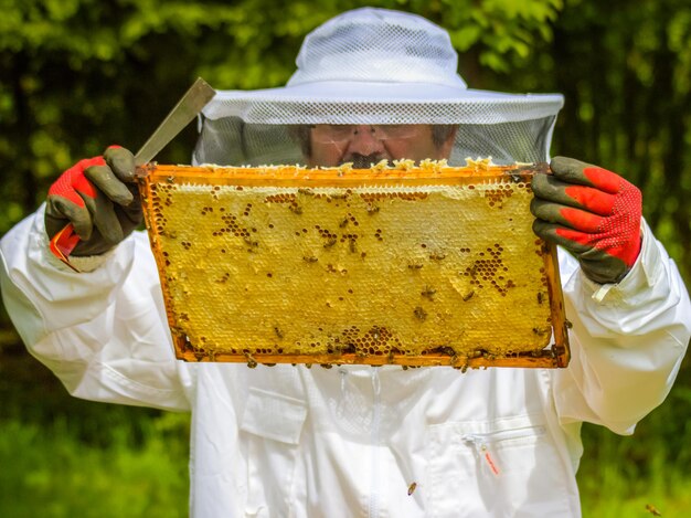 Foto apicultores com colmeias na quinta