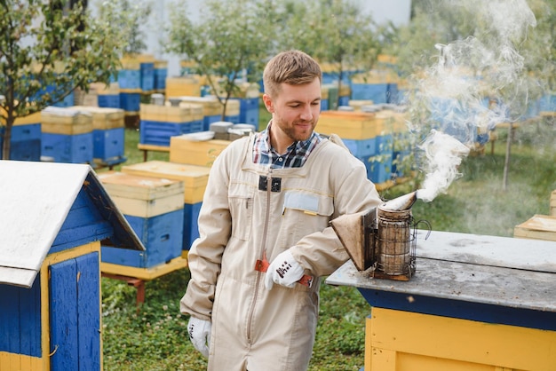 Apicultura apicultor en el trabajo abejas en vuelo