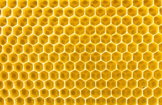 Apicultura closeup das células de um quadro parcialmente preenchido com mel