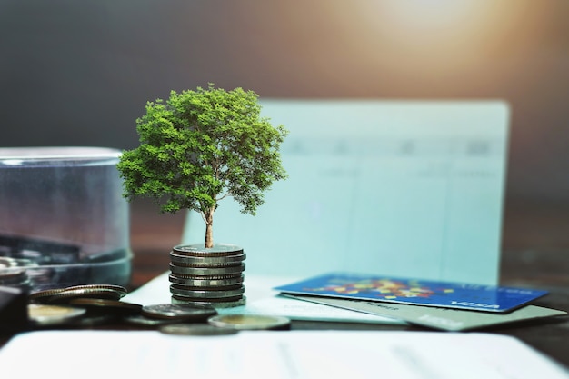 Foto apila monedas con plantas para convertirlas en escalones. concepto de crecimiento empresarial