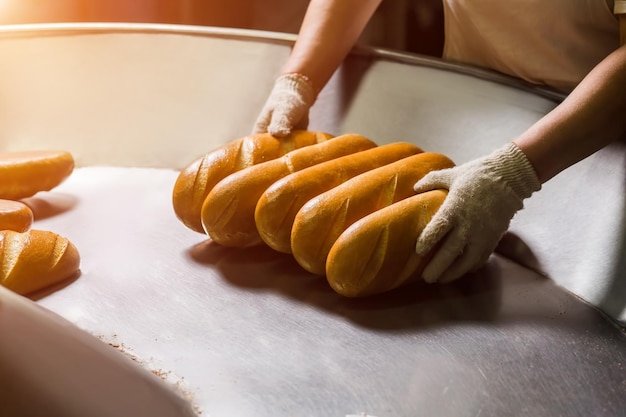 Apilar pan del transportador en los estantes Trabajo de panadería Entrega de pan blanco Fabricación de panadería
