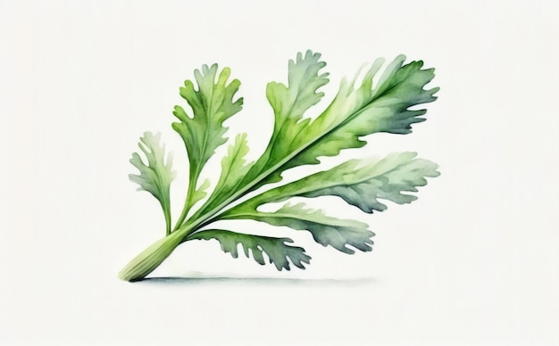 apio dibujado sobre fondo blanco acuarela vegetal verde ilustraciones ai generado