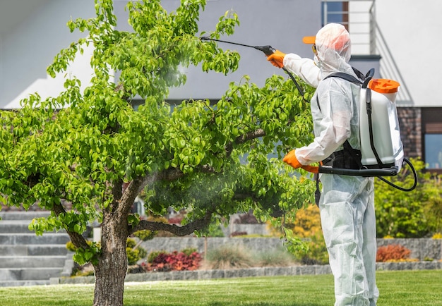 Aplicación segura de pesticidas realizada por un jardinero profesional