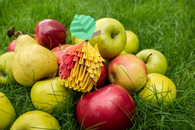 Apple colhe fundo, cesta de vime na grama verde