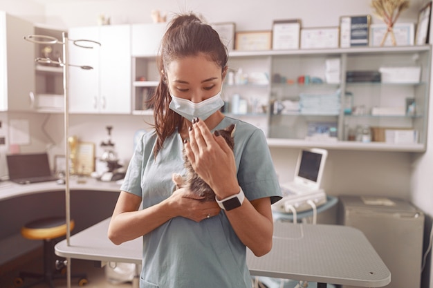 Aprendiz veterinario asiático en uniforme sostiene gatito atigrado en la cita en la clínica