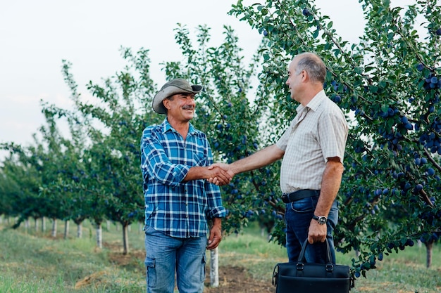 Apretón de manos de dos granjeros de pie y dándose la mano en un negocio agrícola de huerto de ciruelas