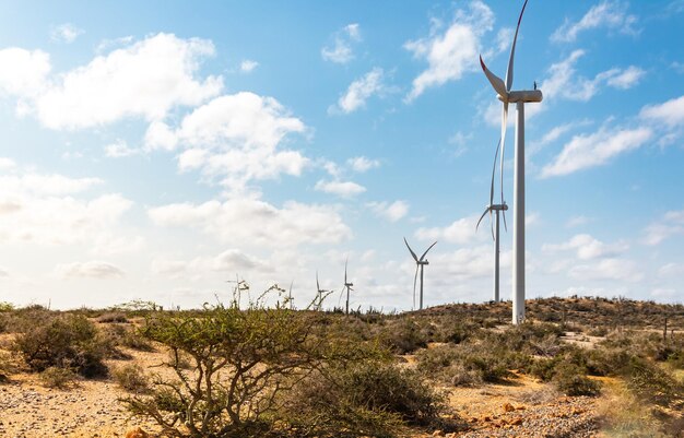 Foto aprovechamiento del viento parque eólico en el extenso desierto de la guajira