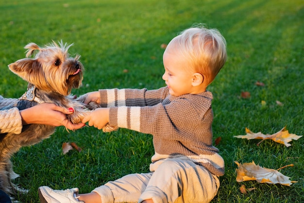 Aproveite a brincadeira com seu amigo Emoções reais das crianças Linda garotinha brincando com seu yorkshire terrier no parque