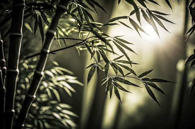 Aproximação da árvore de bambu com luz solar filtrada pelos galhos