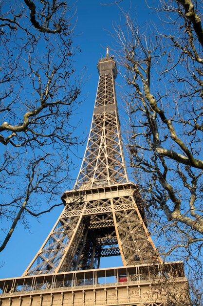 Aproximação das árvores de inverno na Torre Eiffel, Paris, França