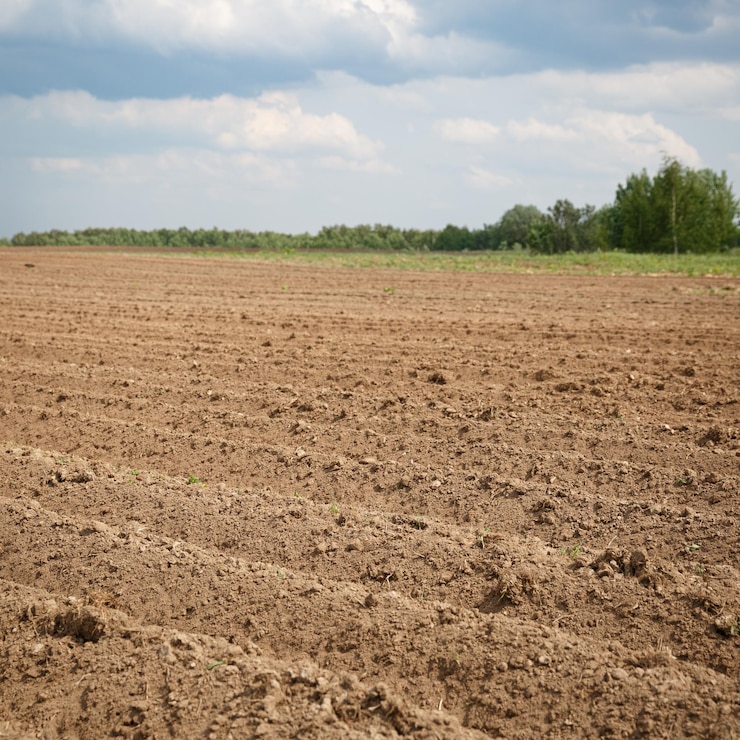Aproximação de um campo agrícola arado contra um céu nublado e árvores verdes Conceito agrícola