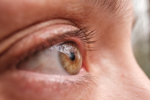 Aproximação de um olho aberto feminino sem maquiagem à luz natural do dia em um fundo desfocado