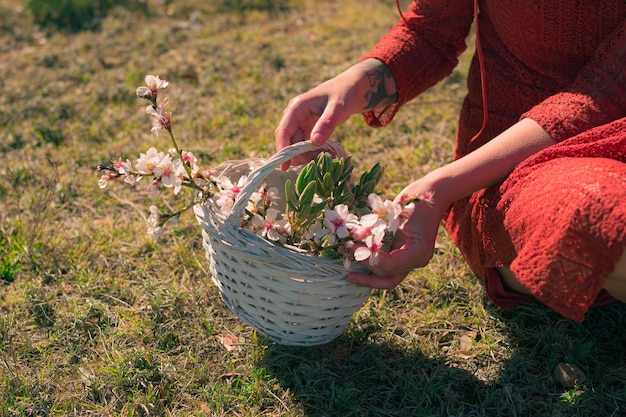 Aproximação de uma mulher segurando com as mãos uma cesta branca com flores de amendoeira