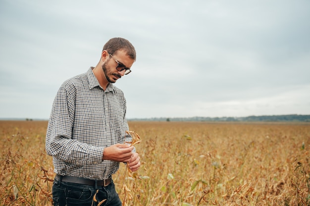 Apuesto agrónomo sostiene una tableta táctil en el campo de soja y examina los cultivos antes de cosechar