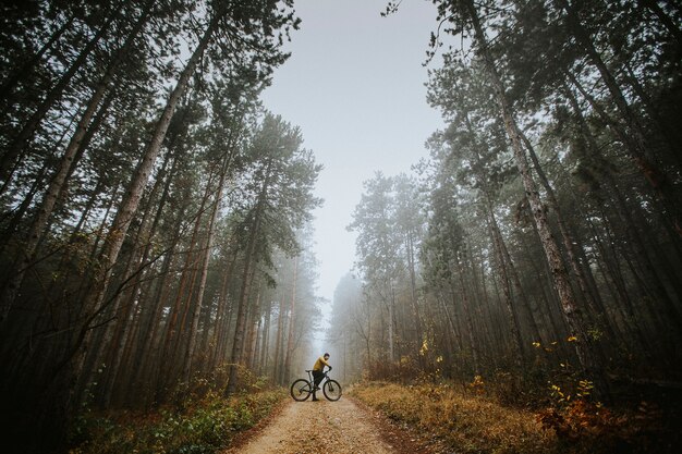 Apuesto joven tomando un freno durante el ciclismo a través del bosque de otoño