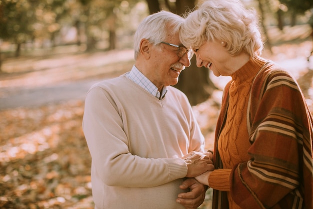 Apuesto pareja senior abrazándose en el parque otoño