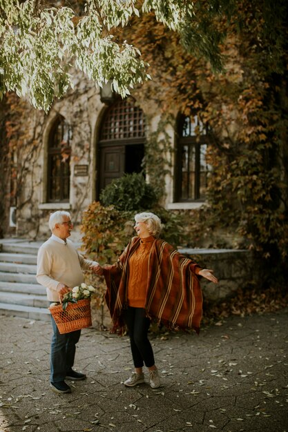 Apuesto pareja senior caminando con canasta llena de flores y comestibles en el parque de otoño