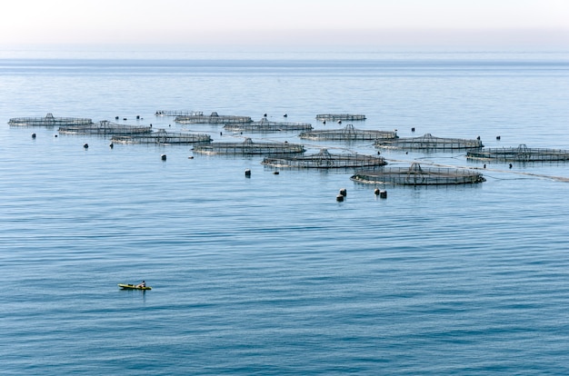 Aquakultur im Mittelmeer