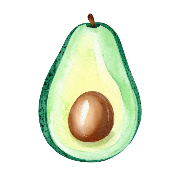 Aquarela de aguacate y fruta de clipart