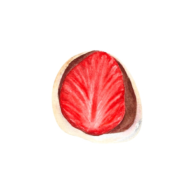 Aquarela aquarela de morango Daifuku em fundo branco isolado desenhado à mão