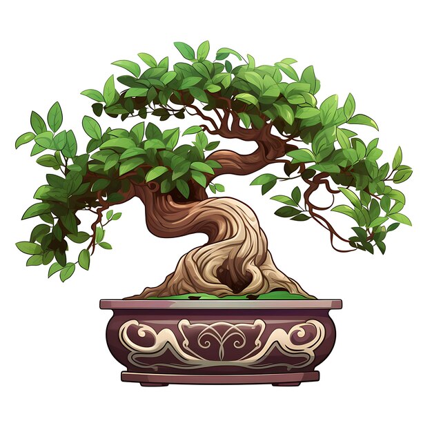 Foto aquarela árbol de almo bonsai olla de arcilla hojas asimétricas armoniosas ellas camiseta clipart aislada