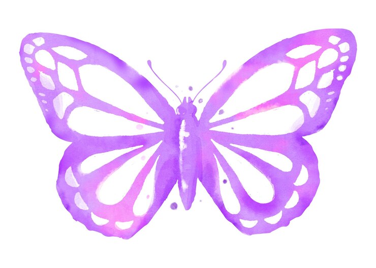 Foto aquarela borboleta adesivo png elemento de design rosa