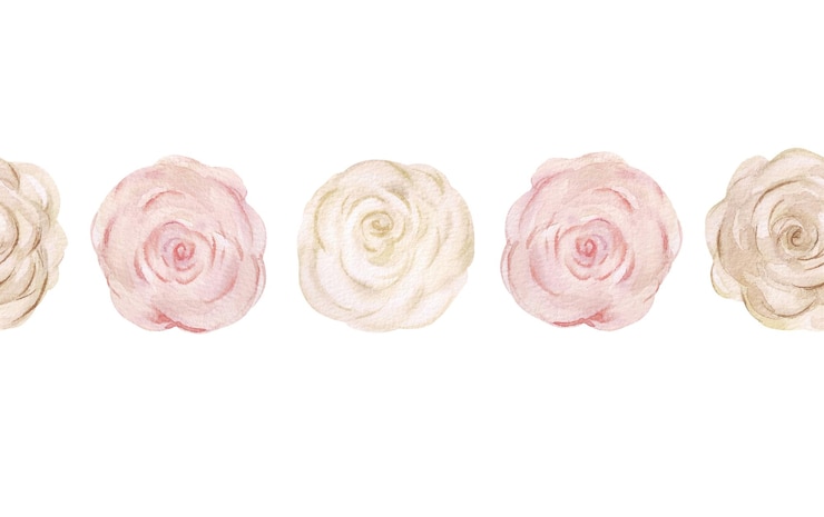 Foto aquarela borda sem costura com rosas em estilo boho impressão botânica com flores rosas em cores pastel branco rosa e bege design e decoração