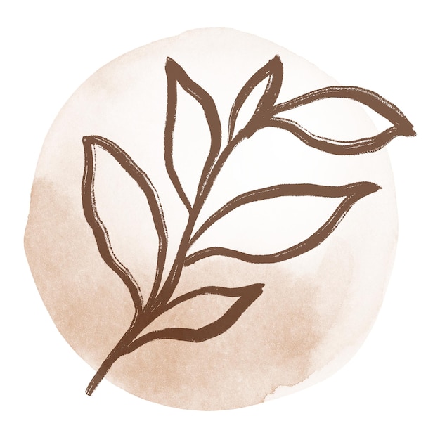 Aquarela botánica png dibujo de línea abstracto ilustración de hoja para revista de balas en fondo transparente