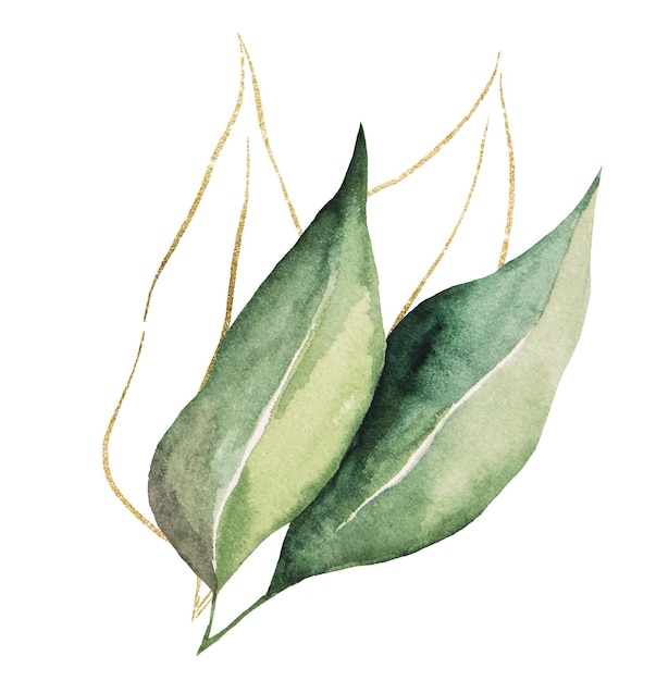 Aquarela botânica verde e dourada deixa ilustração elemento de design de casamento