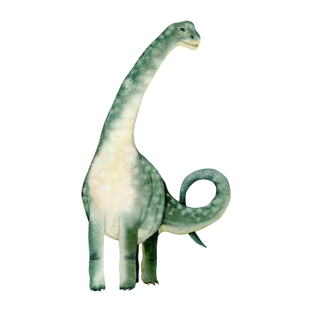 Aquarela braquiossauro dinossauro verde Ilustração desenhada à mão de animal antigo Jurássico