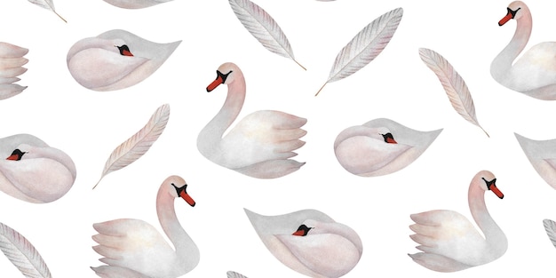Aquarela cisne e pena padrão sem costura com pássaros e penas Impressão bonita para papel de parede papel de embrulho design de bebê Decoração de berçário Minimalismo