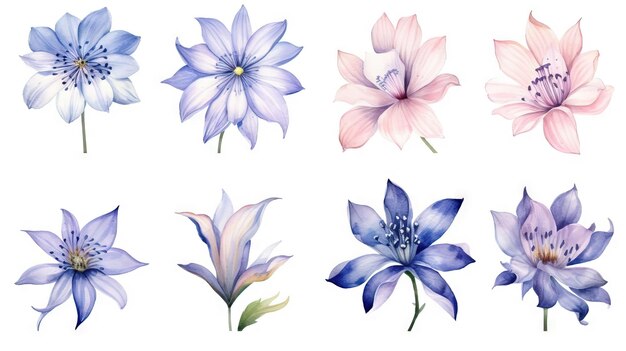 Aquarela da coleção de flores do Lesoto em fundo branco limpo com IA generativa de linhas nítidas