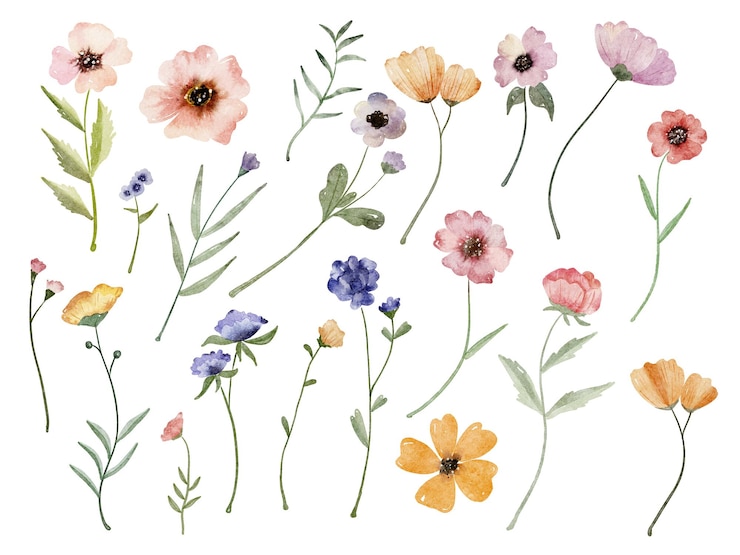 Foto aquarela de flores silvestres conjunto floral