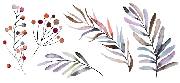 Aquarela de inverno folhas e grãos conjunto isolado no branco. elementos botânicos em azul, rosa e roxo para cartões de casamento, artigos de papelaria festivos, artesanato