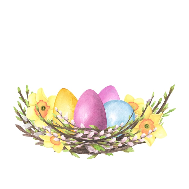 Aquarela de ninho de salgueiro com ovos coloridos de narciso de flores isolados em branco Mão desenhando design de ilustração de Páscoa
