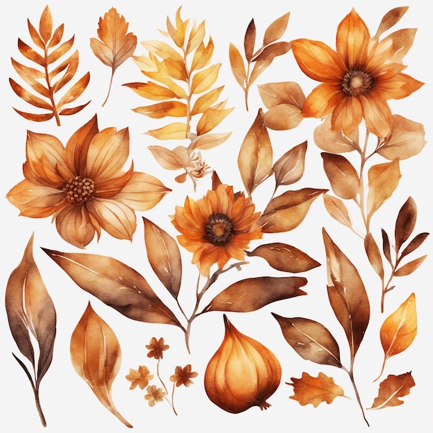 Aquarela de Outono Elementos de Clipart Floral