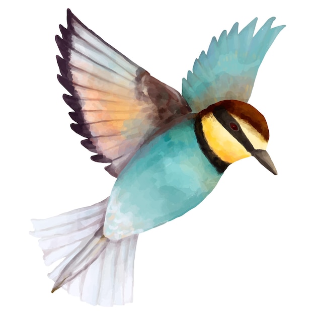 Aquarela de pássaro adesivo png desenho clipart