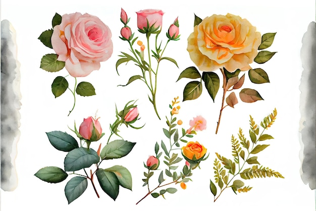 Aquarela de rosas amarelas e aquarela Generative AI